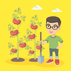 Image showing Little caucasian farmer boy cultivating tomatoes.