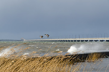 Image showing The Oland Bridge in Sweden a stormy day