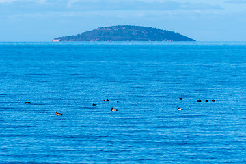 Image showing Beautiful Blue Island