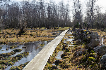 Image showing Wooden footpath crossing a wetland