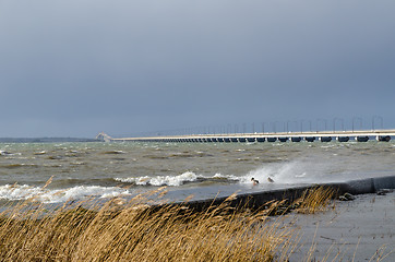 Image showing Windy day by the bridge