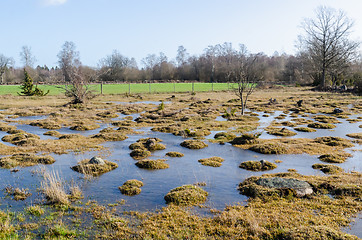 Image showing Tufted rural landscape by spring season