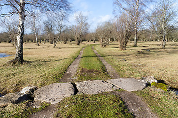 Image showing Traditional flat rock bridge