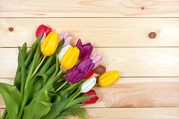 Image showing Tulips flowers background