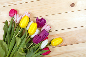 Image showing Tulips flowers background