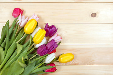 Image showing Tulips flowers background