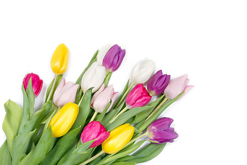 Image showing Tulips flowers background