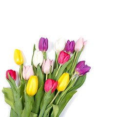 Image showing Tulips flowers background