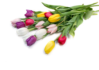 Image showing Tulips flowers background