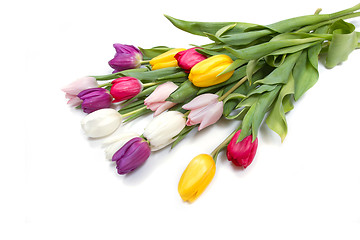 Image showing Tulips flowers background