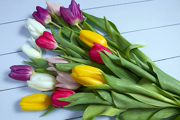 Image showing Tulips flowers background