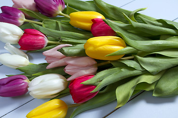 Image showing Tulips flowers background