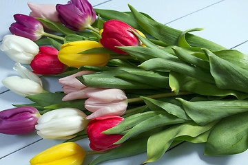 Image showing Tulips flowers background