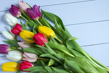 Image showing Tulips flowers background