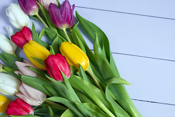 Image showing Tulips flowers background