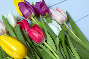 Image showing Tulips flowers background