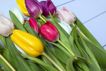 Image showing Tulips flowers background