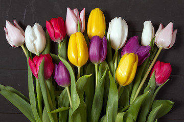 Image showing Tulips flowers background