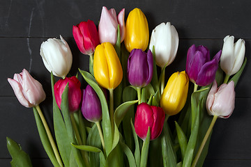 Image showing Tulips flowers background