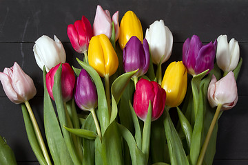 Image showing Tulips flowers background