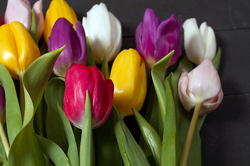 Image showing Tulips flowers background