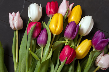 Image showing Tulips flowers background