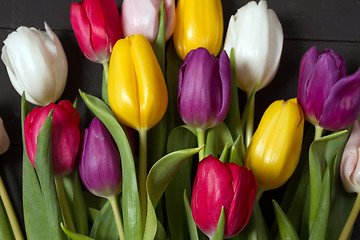 Image showing Tulips flowers background