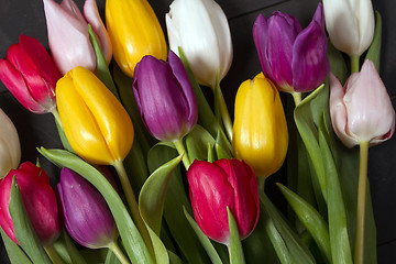 Image showing Tulips flowers background