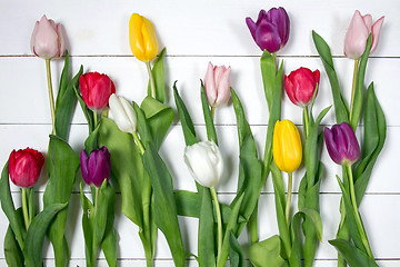 Image showing Tulips flowers background