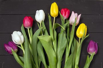 Image showing Tulips flowers background