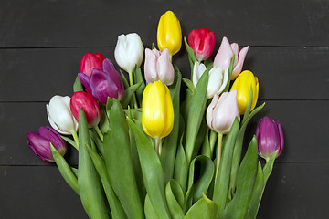 Image showing Tulips flowers background