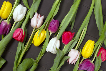 Image showing Tulips flowers background