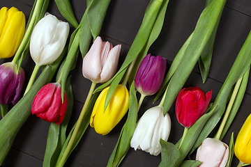 Image showing Tulips flowers background