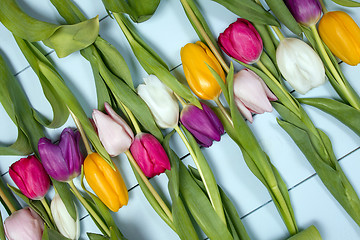 Image showing Tulips flowers background