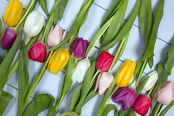 Image showing Tulips flowers background