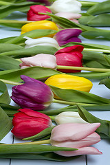 Image showing Tulips flowers background