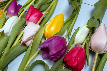 Image showing Tulips flowers background