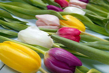 Image showing Tulips flowers background