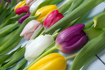 Image showing Tulips flowers background