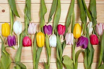 Image showing Tulips flowers background