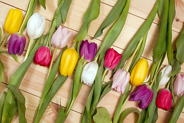 Image showing Tulips flowers background