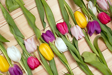 Image showing Tulips flowers background