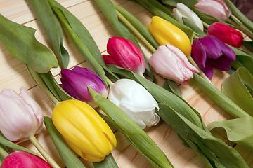 Image showing Tulips flowers background