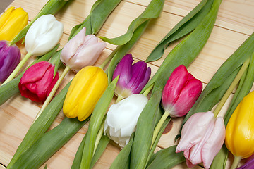 Image showing Tulips flowers background