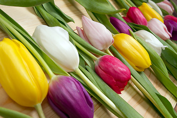 Image showing Tulips flowers background