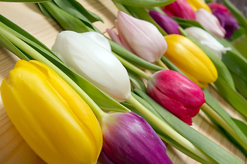 Image showing Tulips flowers background