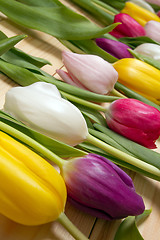 Image showing Tulips flowers background