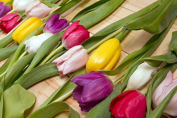 Image showing Tulips flowers background