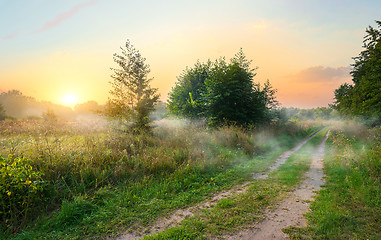 Image showing Spring field at sunrise