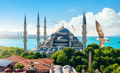 Image showing Blue Mosque and Bosphorus